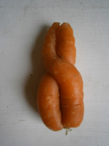carotte.JPG